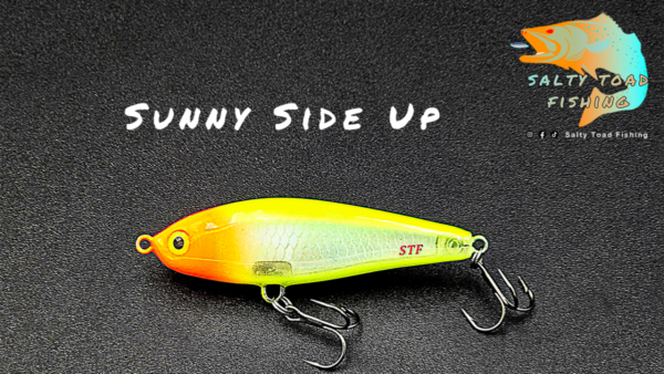 Custom STF - 3D Slow Sinking 2 3/4" Twitch Bait - Various Colors - Image 11